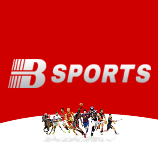 B体育·(中国)官方网站 - BSPORTS